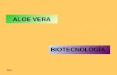 Biotecnología y Salud