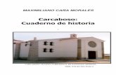 DESARROLLO HISTÓRICO DE CARCABOSO