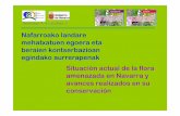 Situación actual de la flora amenazada de Navarra y avances realizados para su conservación