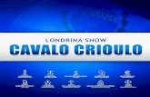 LONDRINA SHOW - CAVALO CRIOULO