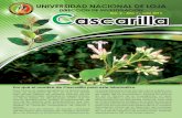 Boletín Cascarilla Julio 2013