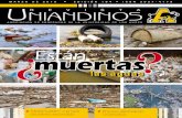 Revista Uniandinos - marzo -