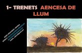 1.-TRENETS A ENCESA DE LLUM