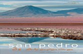 Guia San Pedro de Atacama n°11