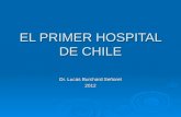 Día del hospital en Chile