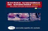 Revista Argentina de Anatomía Online 2010; 1(2): págs. 33-80..