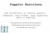 Puppies Bcn: imágenes 3