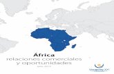 África - Perfil regional
