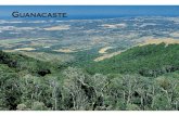 La evolucion de la conservación en el Área de Conservación Guanacaste