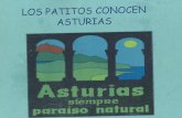 Los patitos de viaje por Asturias