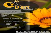 D'artshoot edición 11