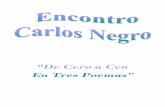 Obradoiro de Poesía con Carlos Negro