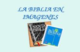 Biblia en imágenes