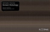 Screen Histology | Catálogo de Exposición