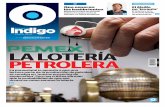 Periodico Reporte Indigo Miércoles 29 de mayo de 2013