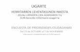 inkestarako informazio konplementarioa Ugarte eu