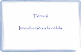 Tema 06 - Introducción a la célula