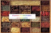 Plantas medicnales III