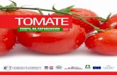 Perfil de Exportación del Tomate desde República Dominicana