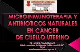 anticancer, curacion del cancer