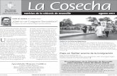 Agosto 2013 La Cosecha