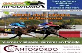 Gaceta Hipoódromo Nº44/2013 (30-10/05-11)