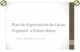 Plan de Exportación de Cacao