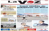 La Voz de Veracruz 8 Abril 2013