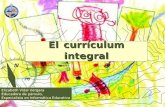 curriculum integrado