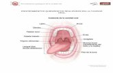 Procedimientos quirurgicos en la cavidad oral 2do tema
