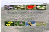 Flora de la Vall dels Alcalans