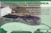 Zoocriadero de Tepezcuintles: Manejo, cr­a y reproducci³n. Primera parte