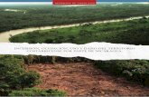 Incursión, ocupación,uso y daño del territorio costarricense por parte de Nicaragua