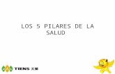5 PILARES DE LA SALUD