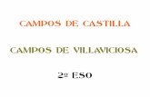 Montaje trabajos de Campos de Castilla 2º ESO