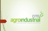 Situación del CITE Agroindustrial del Ministerio de la Producción