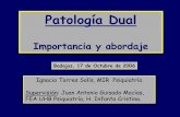 Patología Dual; Importancia y abordaje