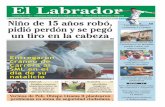 Diario Labrador
