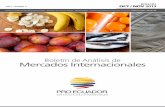 Boletín de Analisis de Mercados Internacionales OCT/NOV 2013
