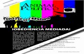 Animal Político Octubre 2010
