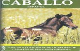 Revista El Caballo Español 1990, n.81