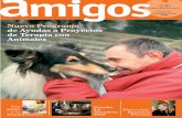 Revista Amigos Fundacion Affinity