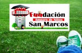 Brochure Fundación Amparo de Niños San Marcos
