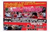Plataforma de Las Rojas-Nuevo MAS en La Izquierda al Frente