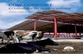 Cow comfort. El bienestar de la vaca lechera