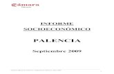 Informe Económico Camara Comercio Palencia