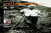 Pellagofio nº25 (1ª) octubre 2006