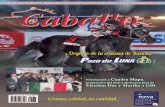 Revista A Caballo #138 Vol. 18