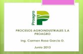 Procesos Agroindustriales S.A.