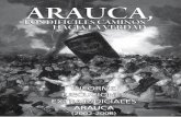 Arauca, ejecuciones extrajudiciales 2002-2008